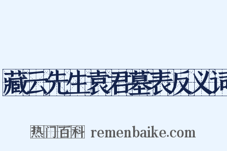 藏云先生袁君墓表反义词是什么意思的图片